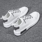 gid://shopify/MediaImage/24692163936350